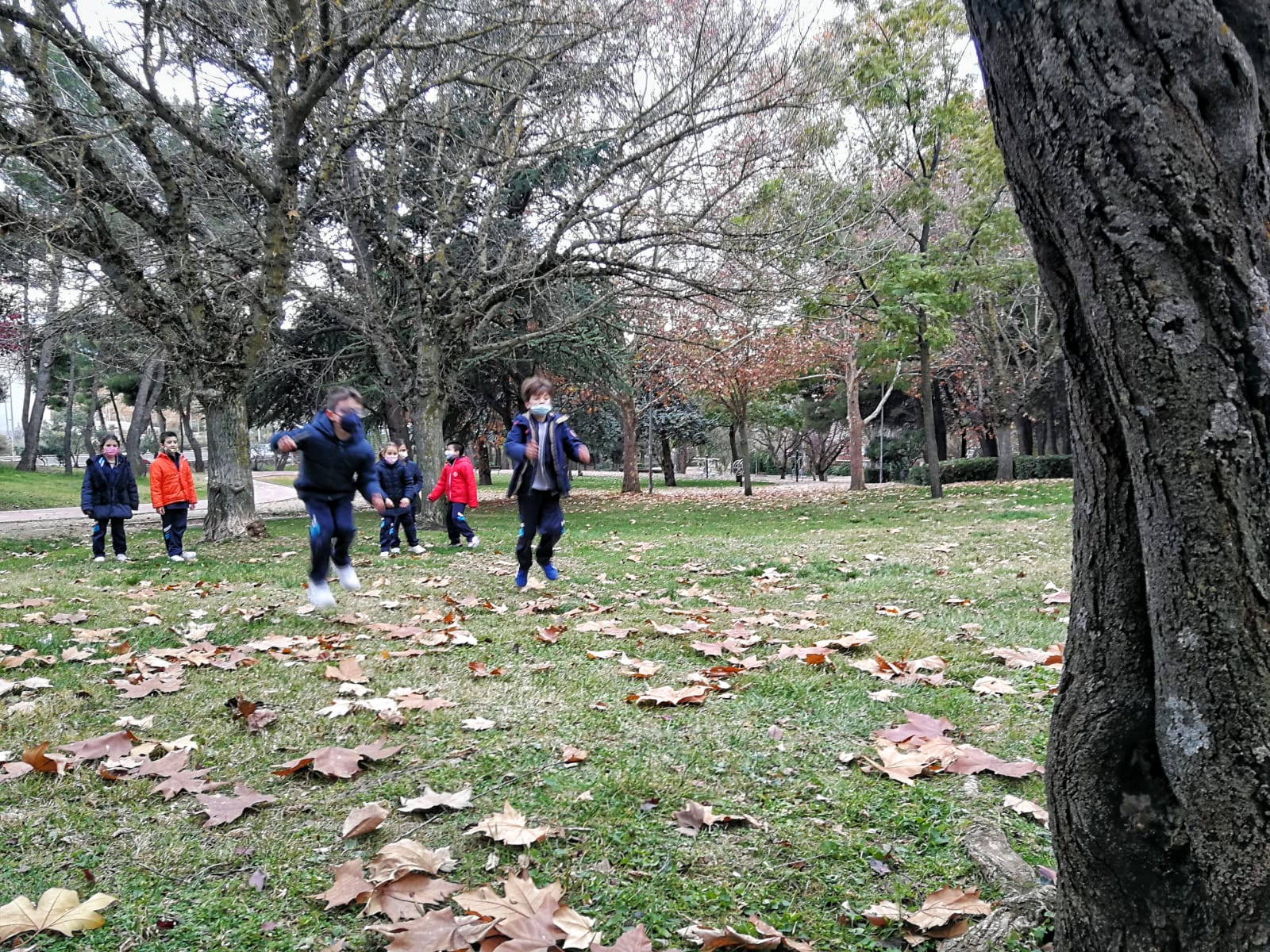 IMG 20211125 WA0016