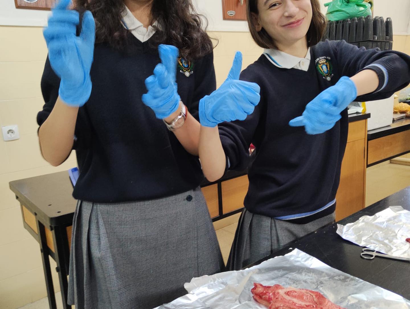 BioDP 2