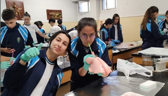diseccionando 1