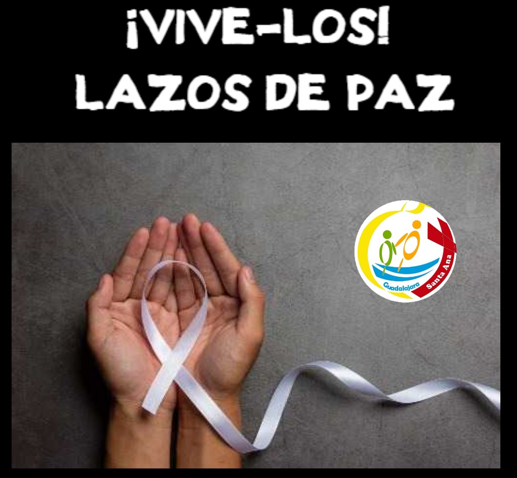 Cartel Paz web