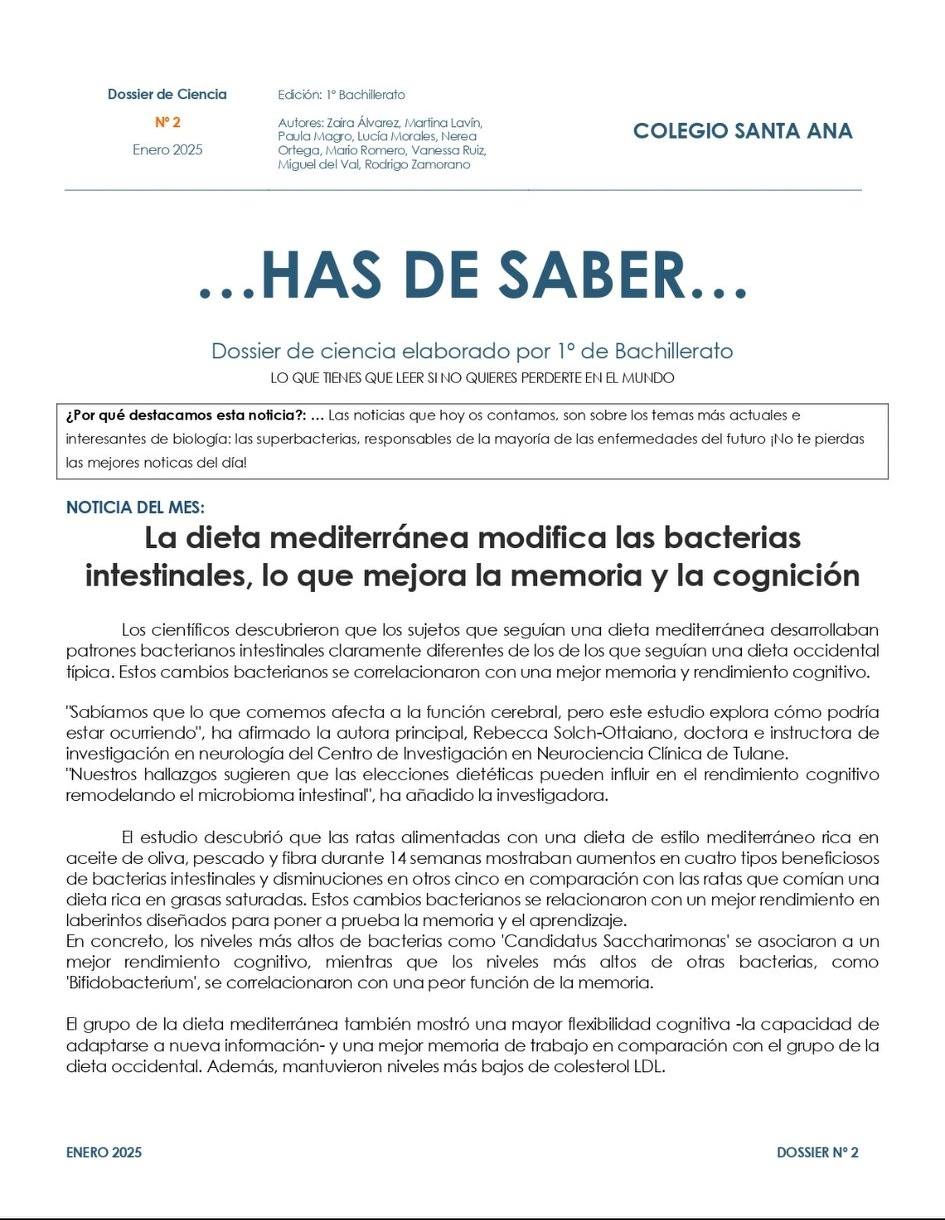 Dossier 2 enero 2025 1