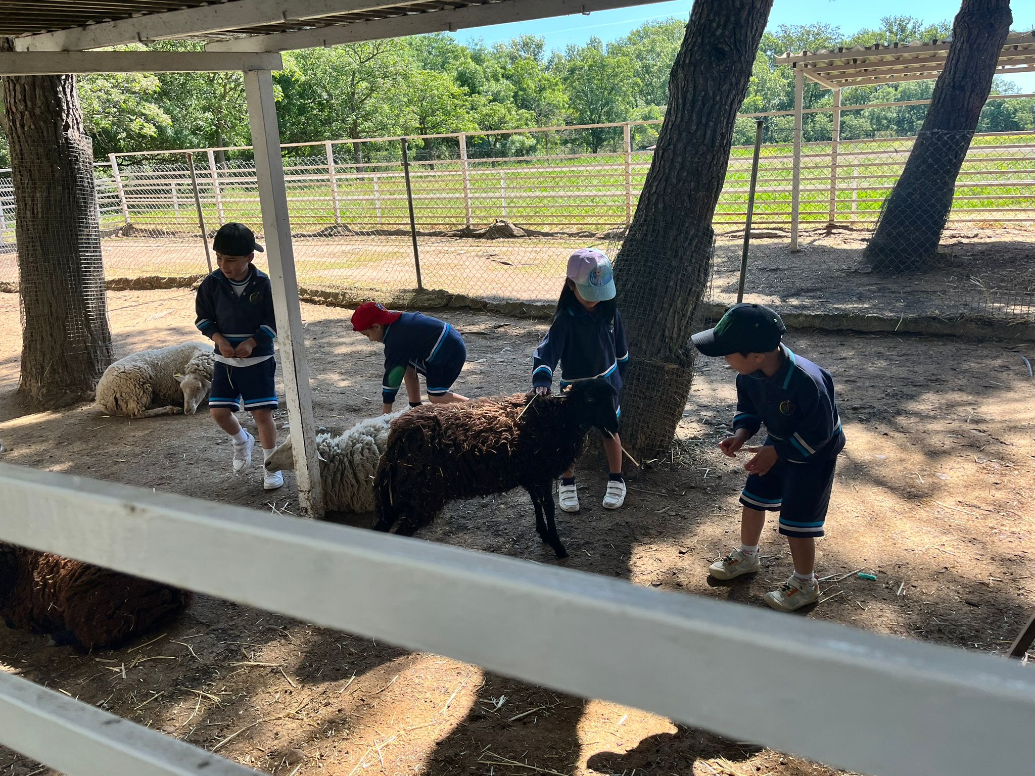 WhatsApp Image 2025 05 23 at 091336 2