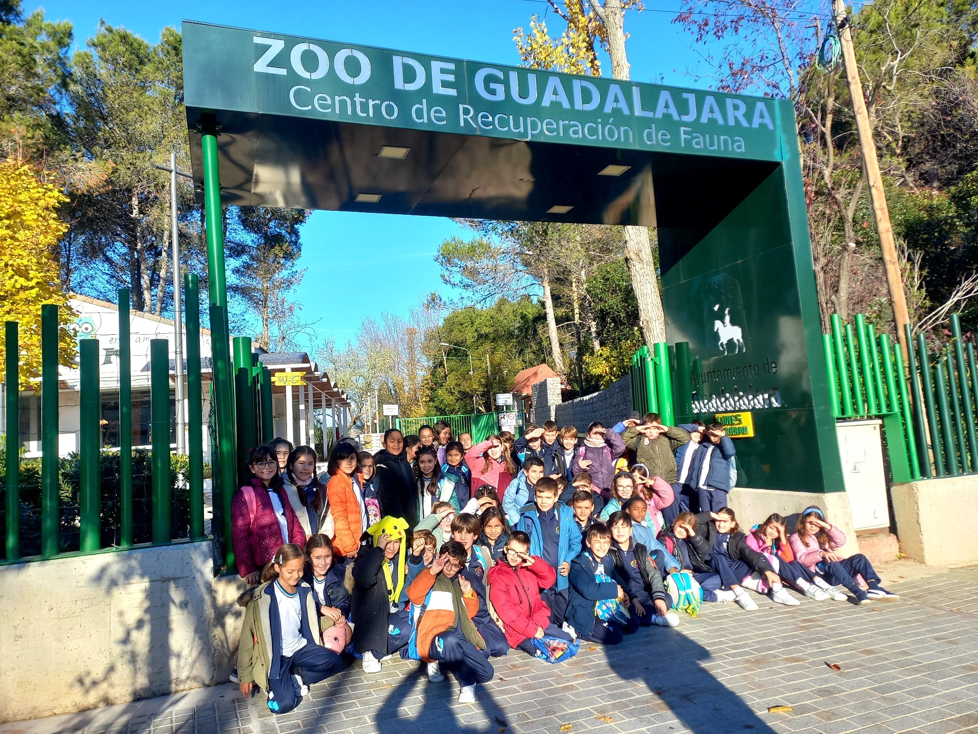Mini Zoo 1
