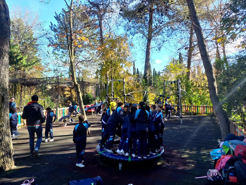 Mini Zoo 7