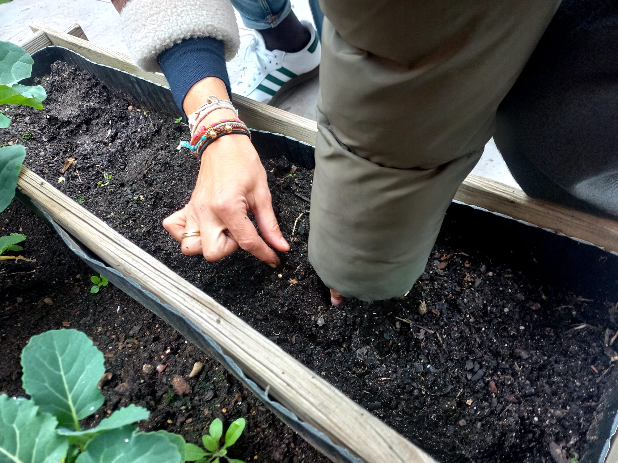 Frutos Huerto 4 12 02 25