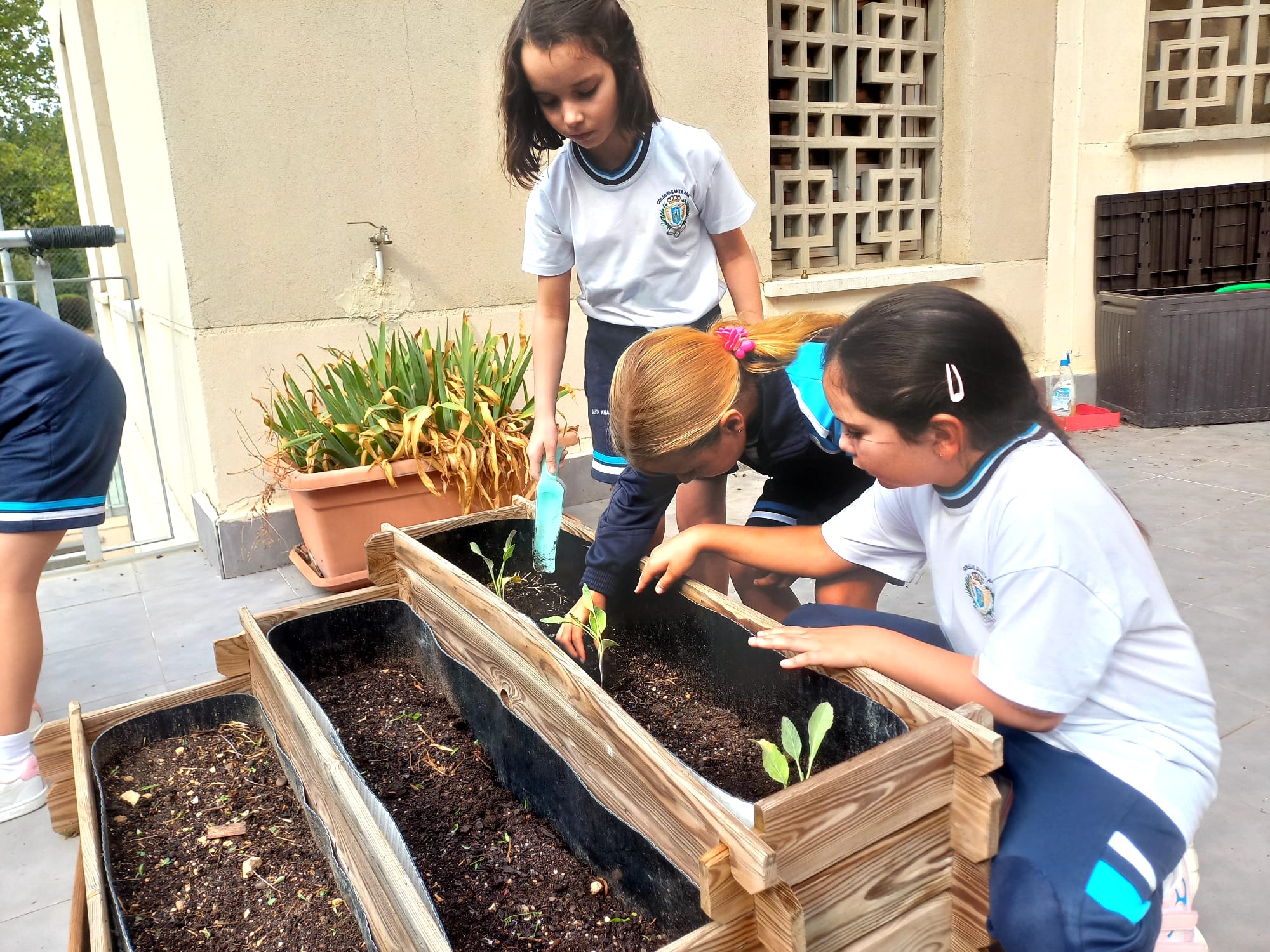 Frutos Huerto 5 12 02 25