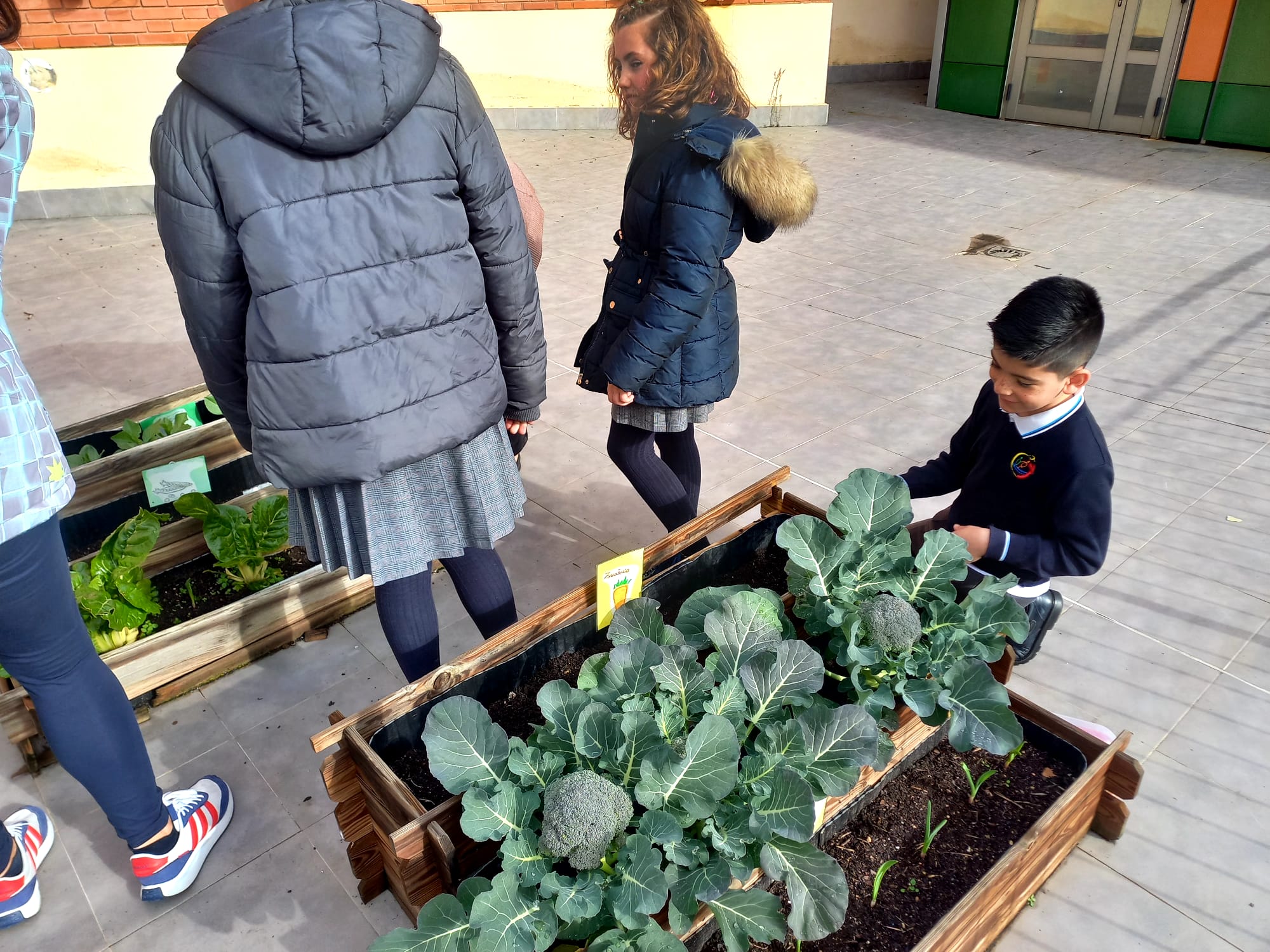 Frutos Huerto 6 12 02 25