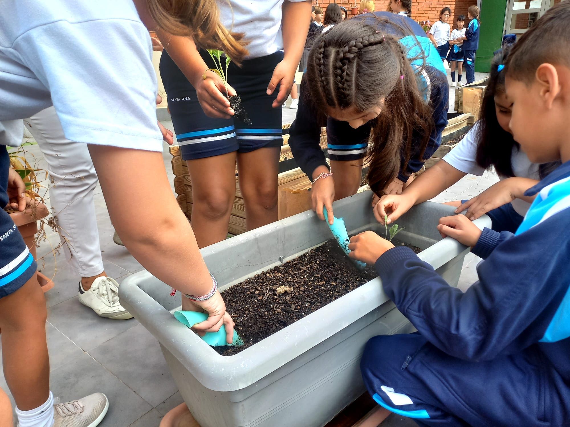 Frutos Huerto 8 12 02 25