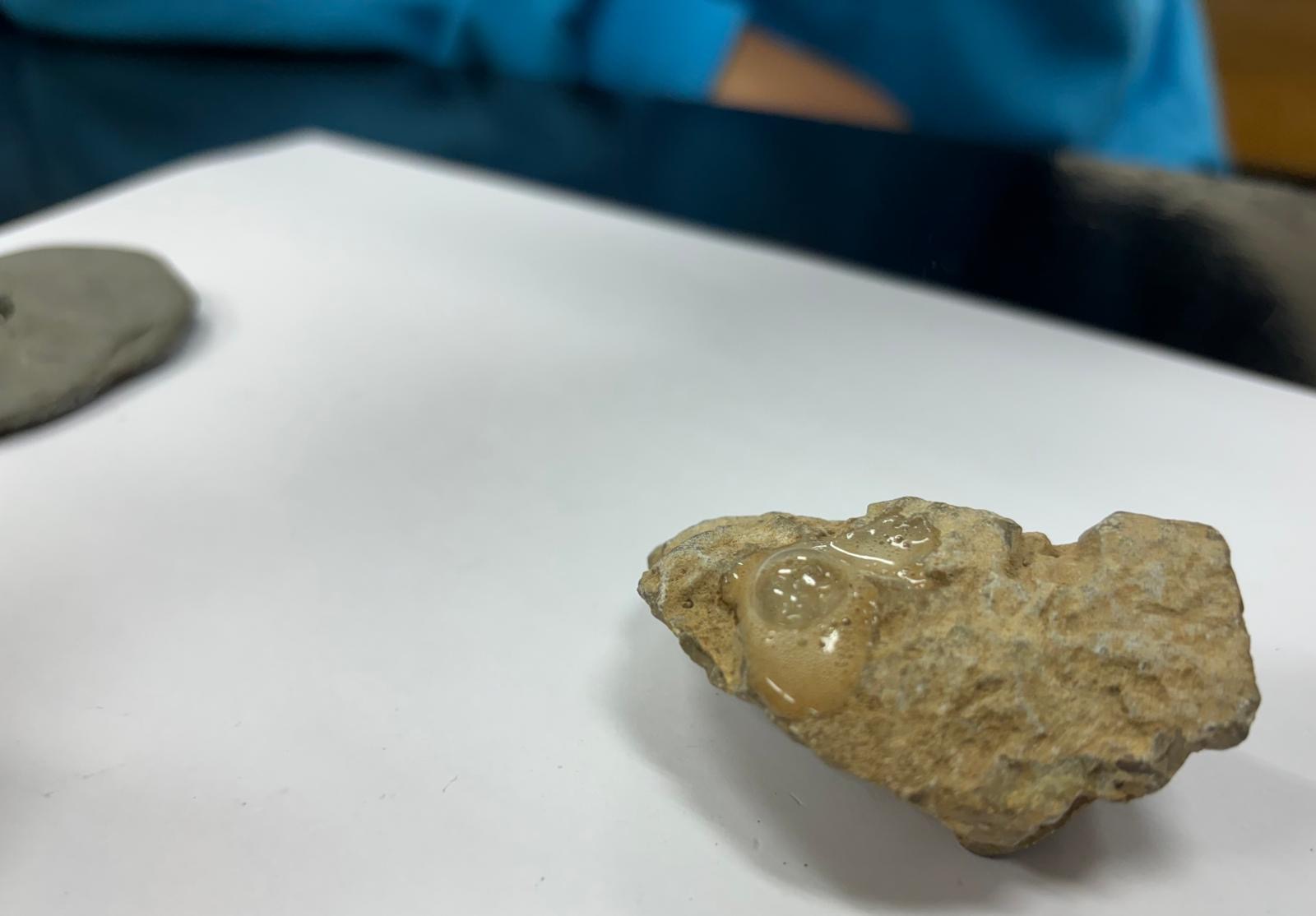 Rocas C 1S 5
