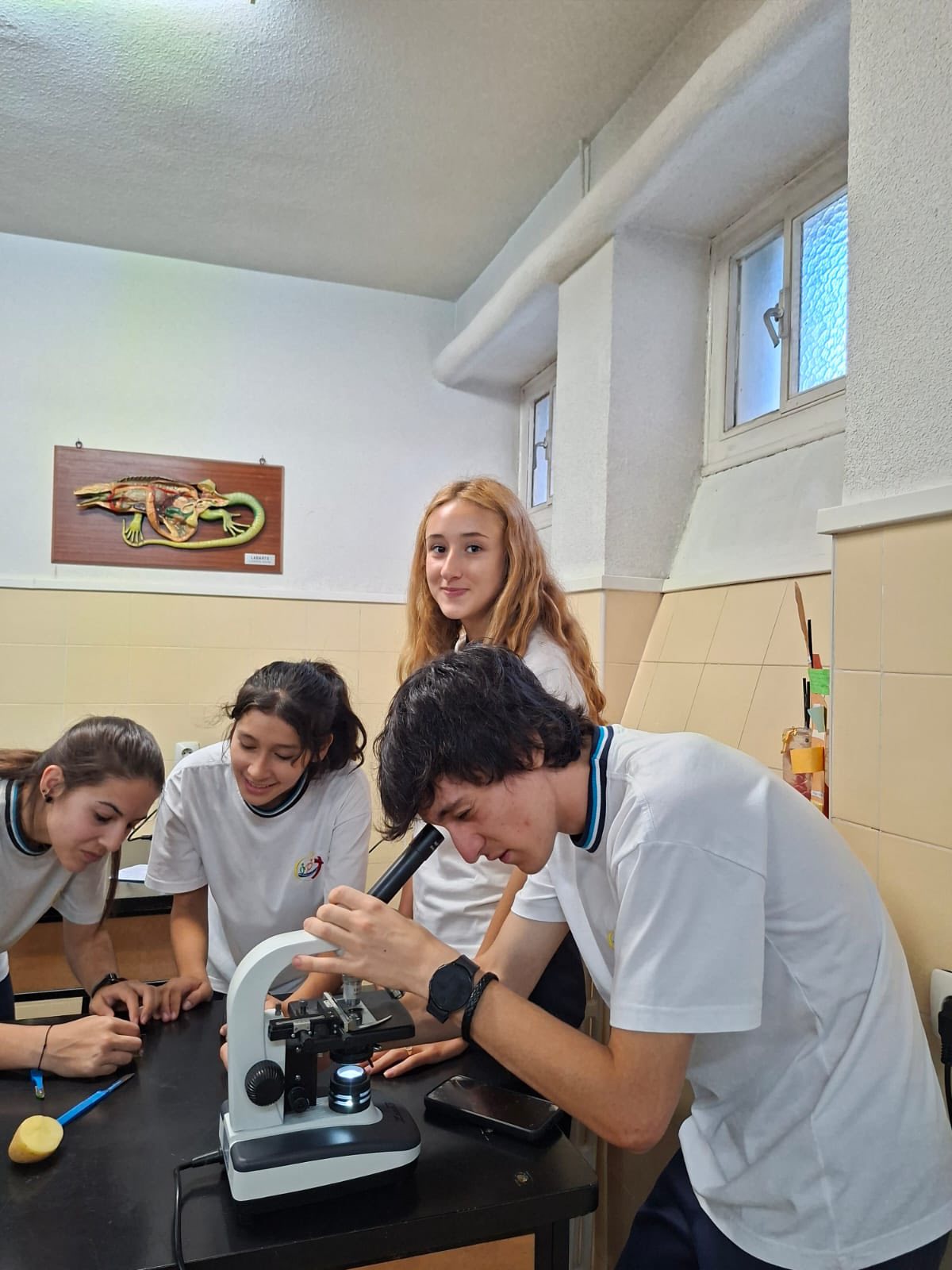 MICROSCOPIO ÓPTICO...