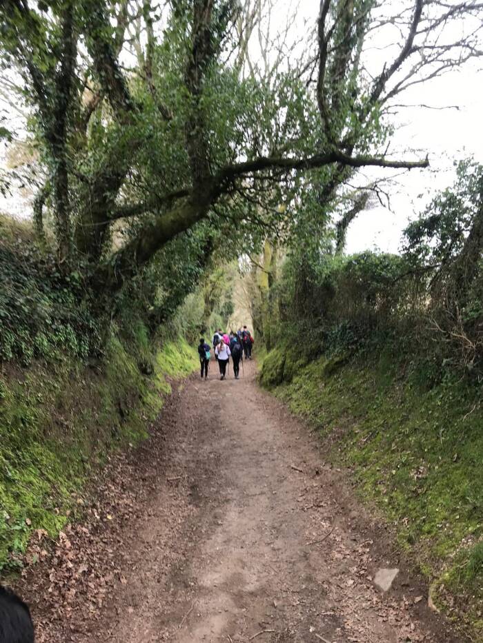 Camino 1c