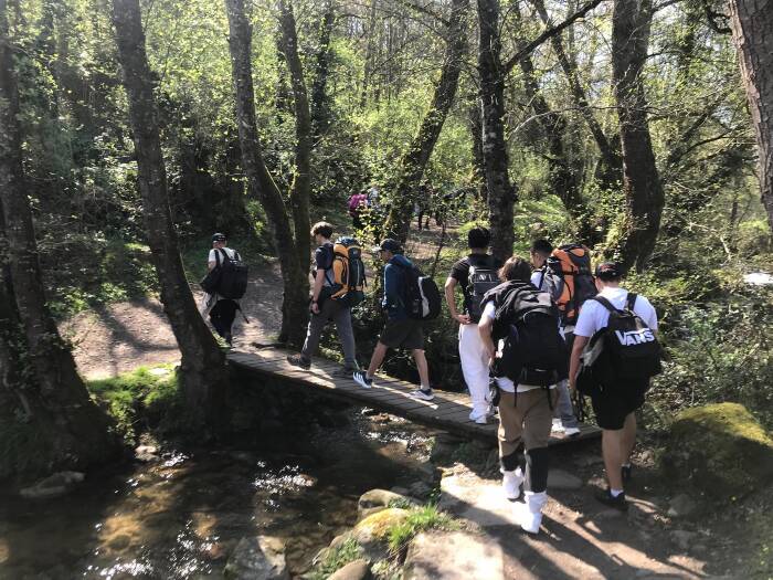 Camino 22
