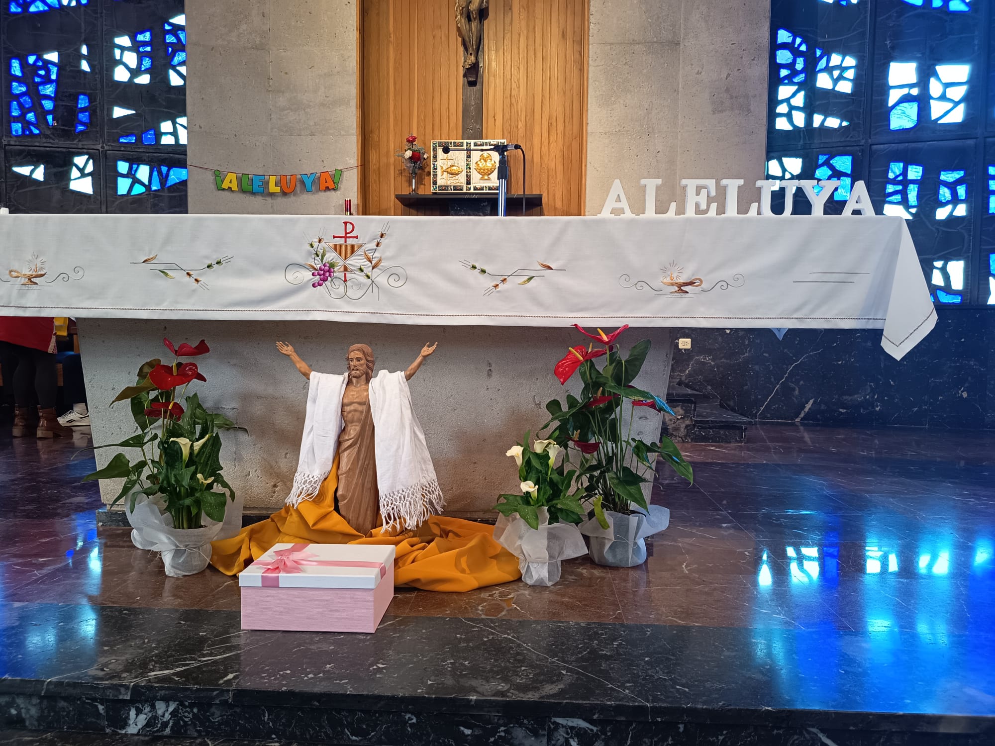 Pascua 26 2