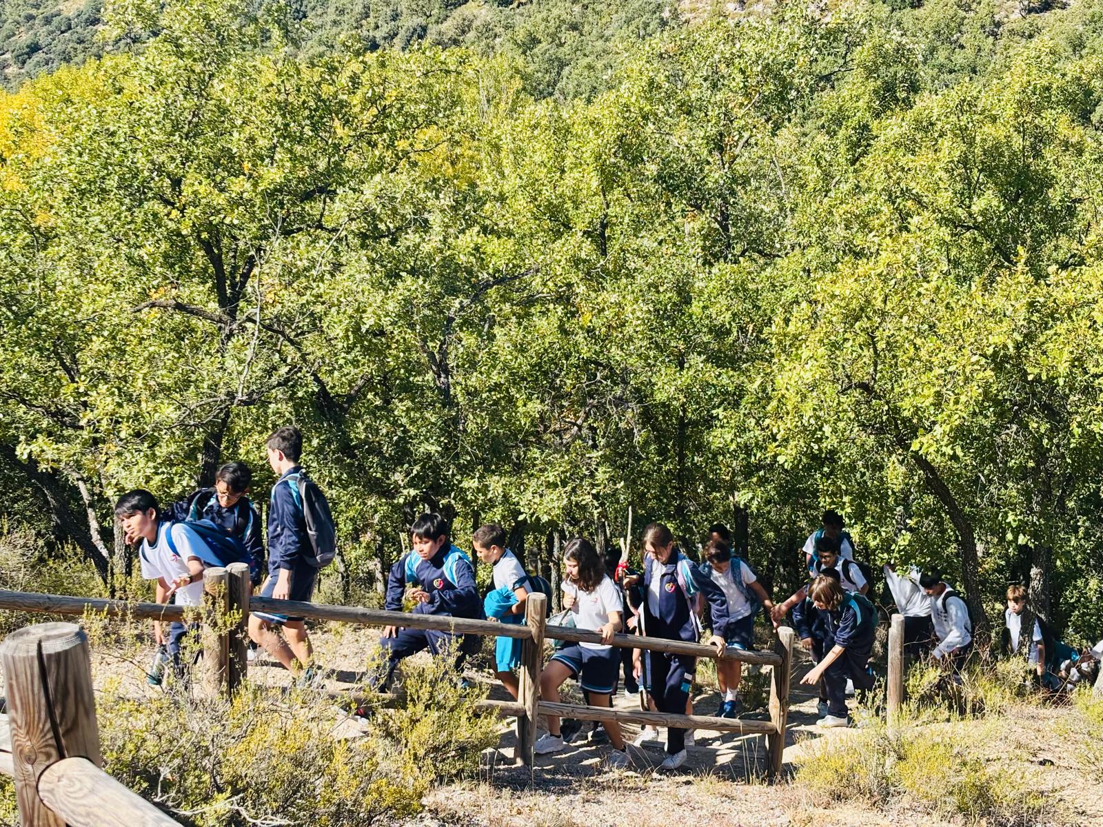 imagen 20251002 190037 d5b8b223