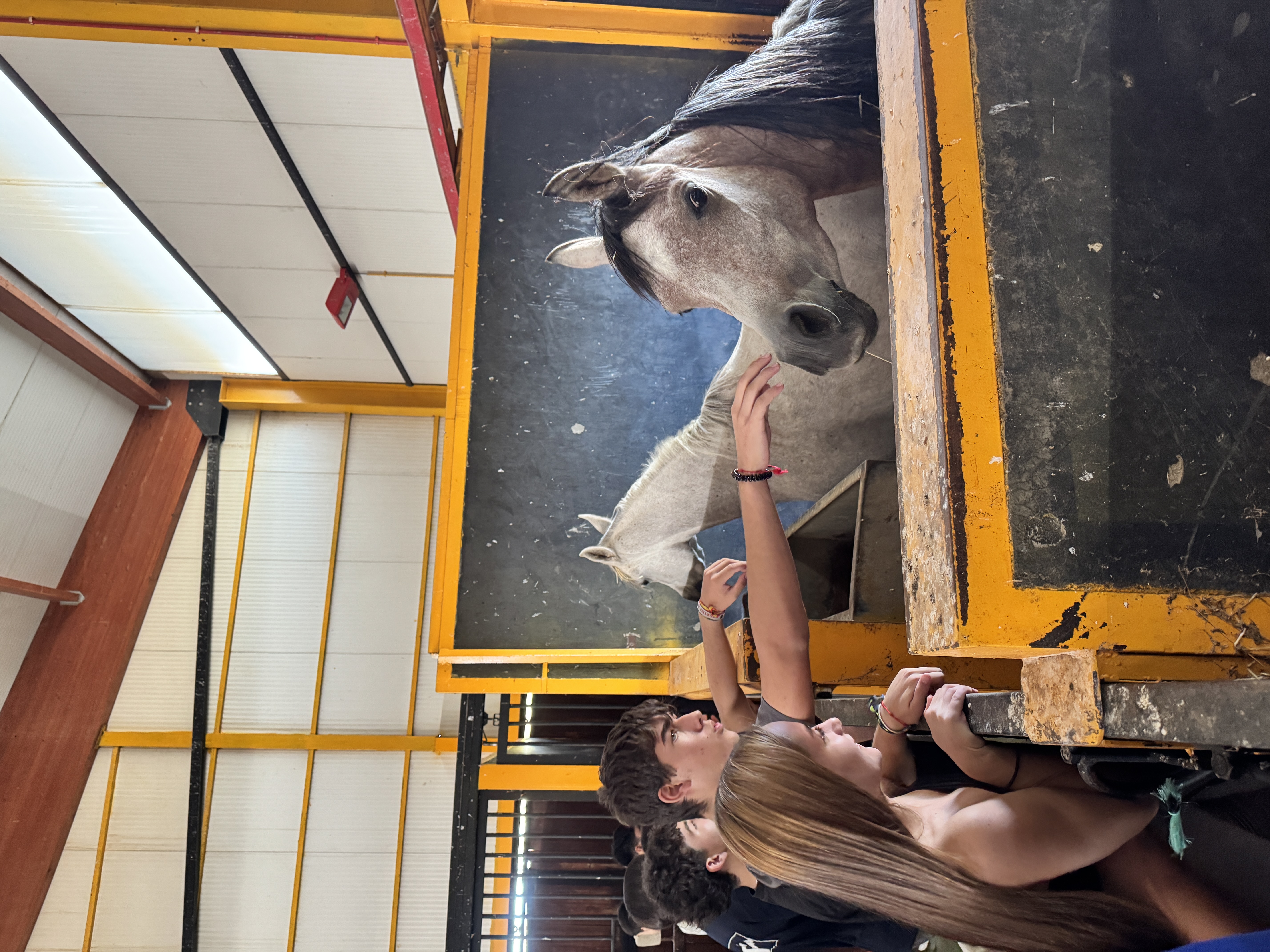 imagen 20251002 161811 3927e5bf