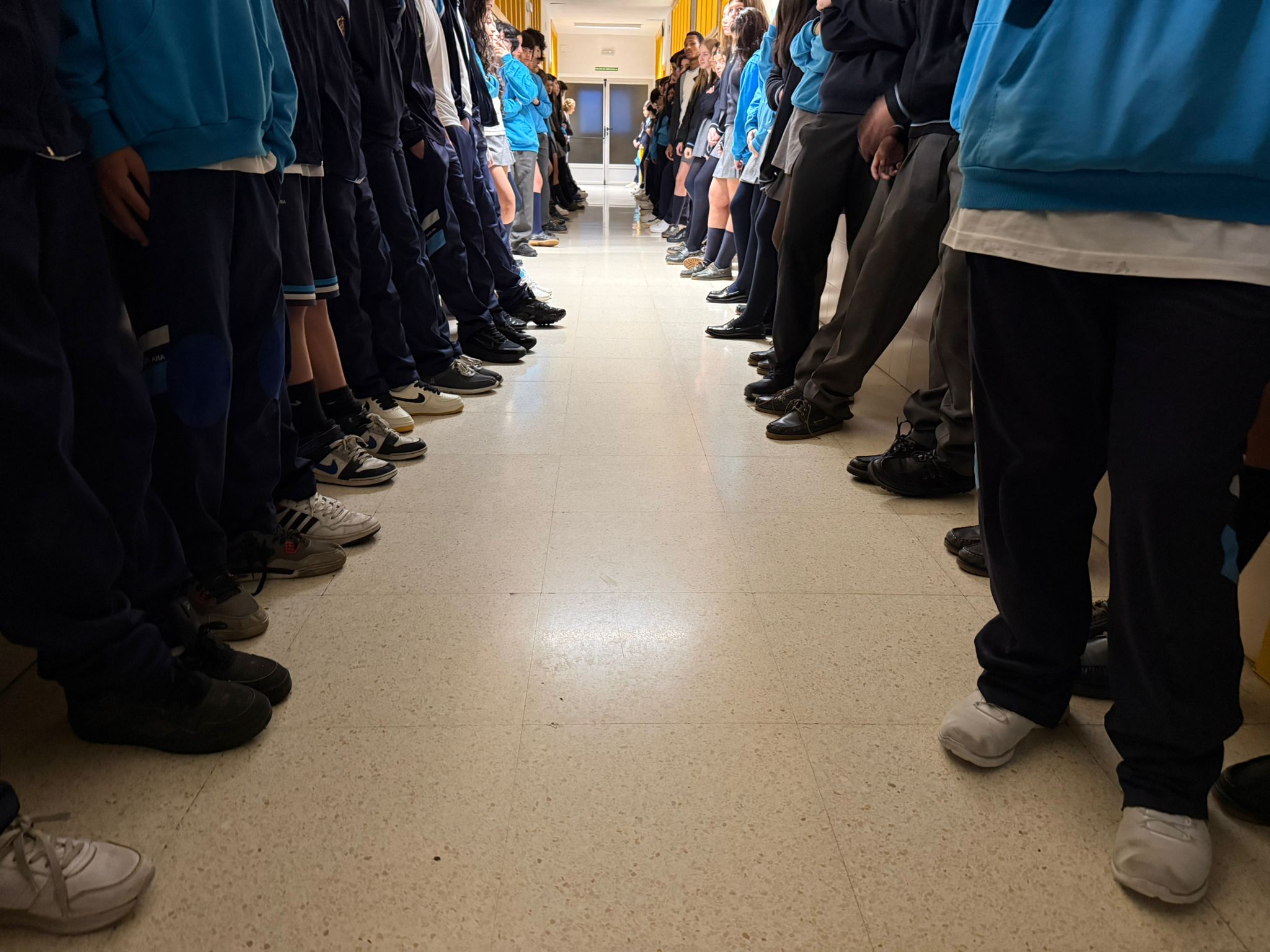 WhatsApp Image 2026 01 23 at 120503