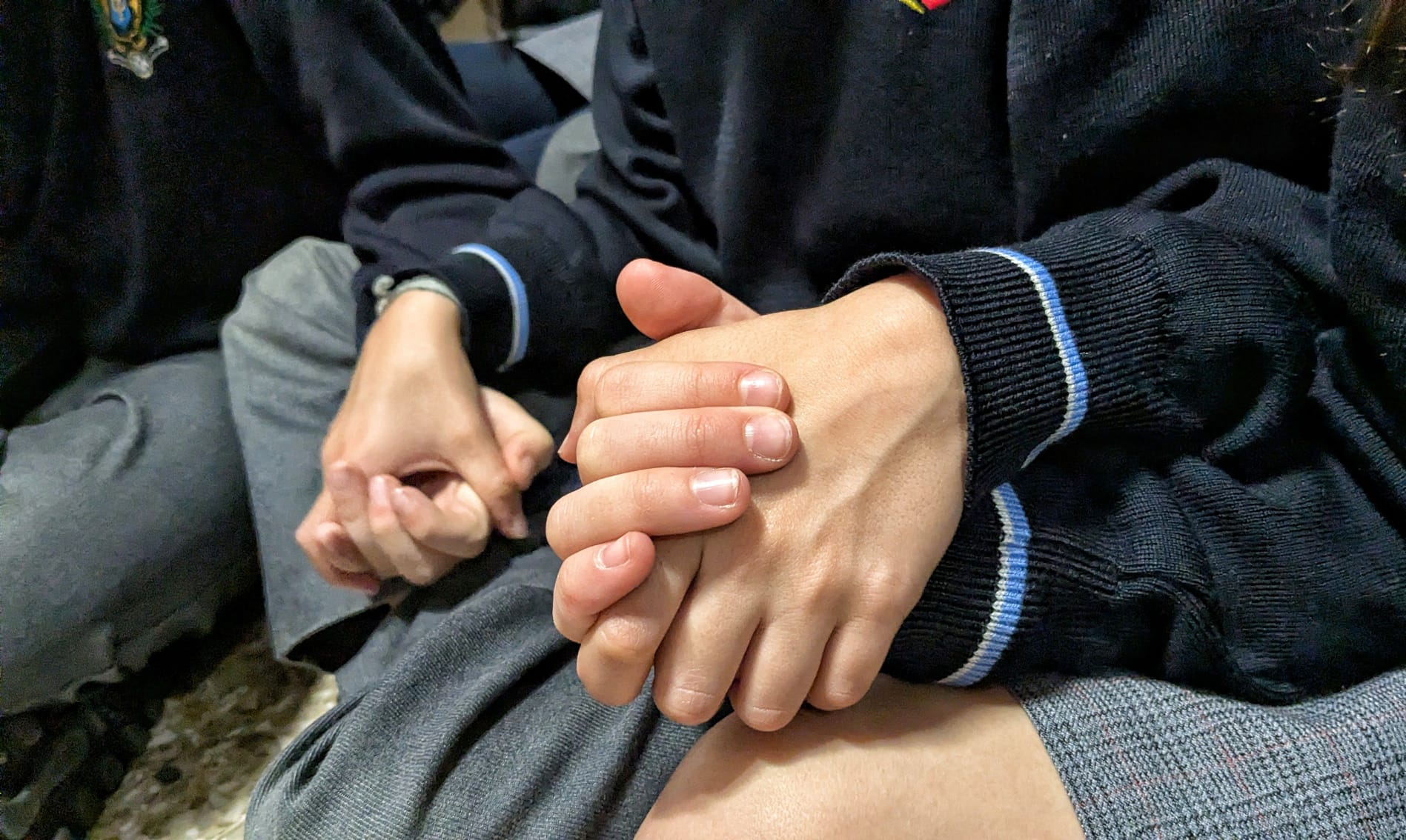 WhatsApp Image 2026 01 23 at 121015