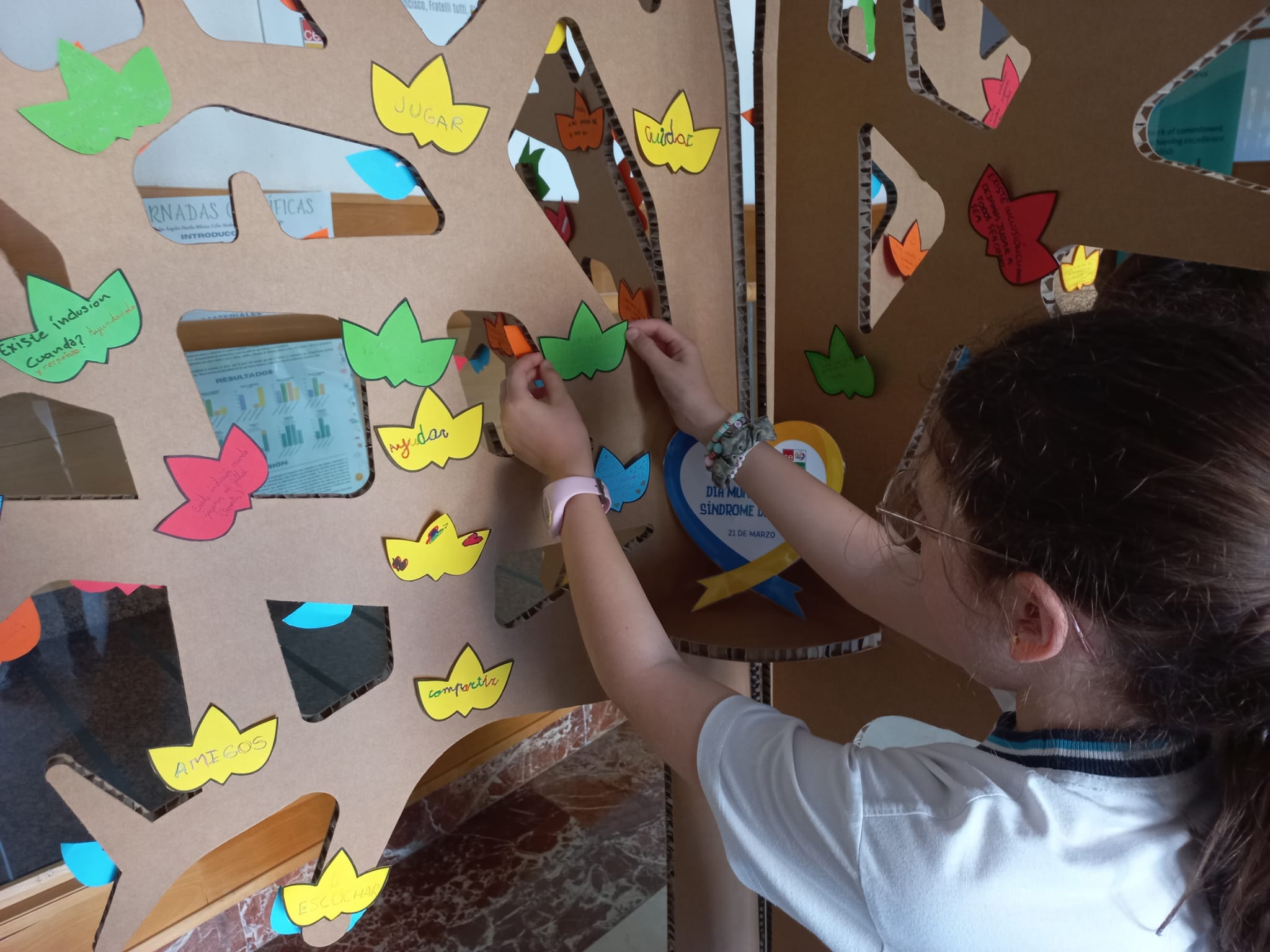 WhatsApp Image 2026 03 20 at 130754