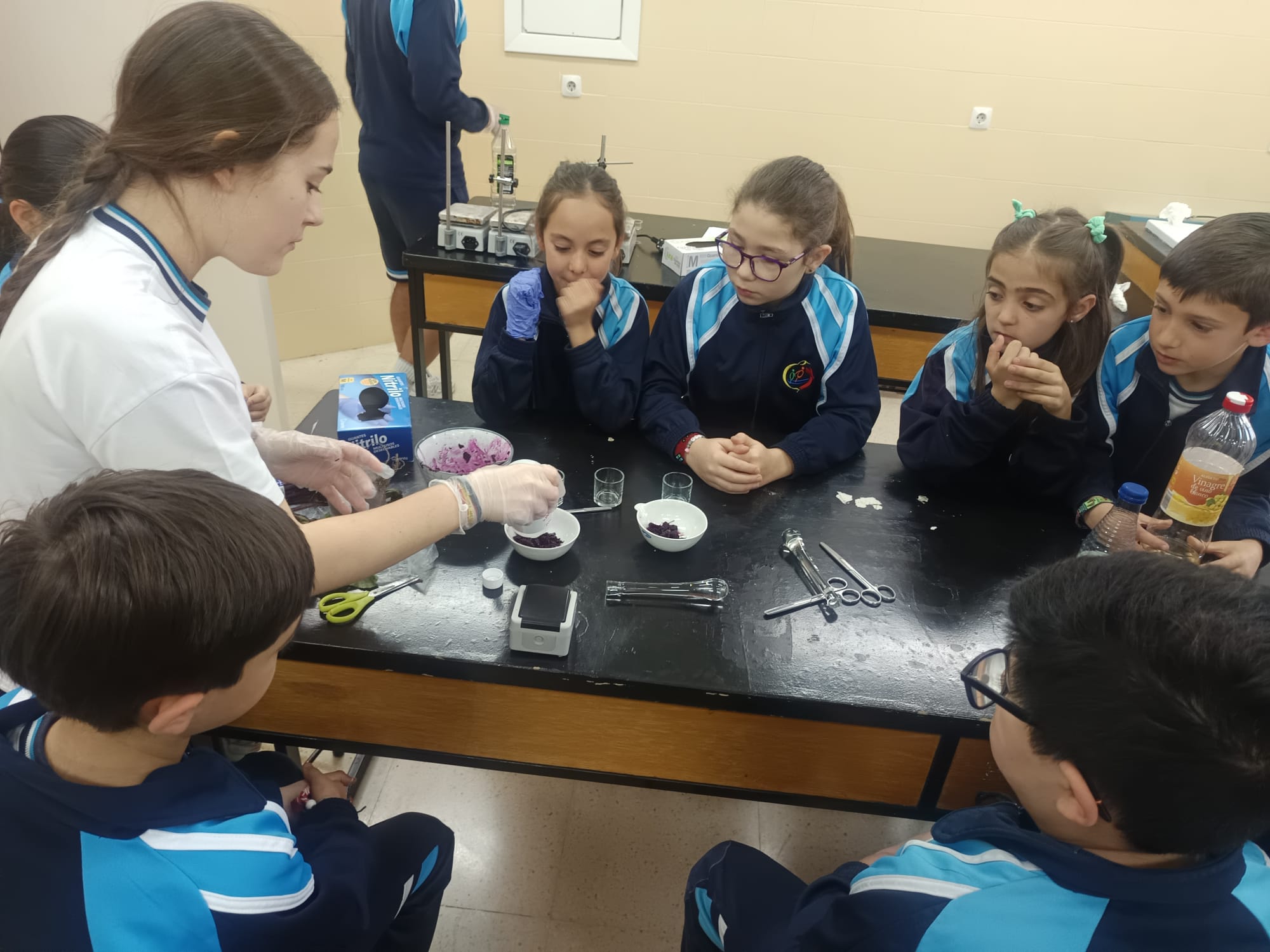 JORNADA DE LABORATORIO